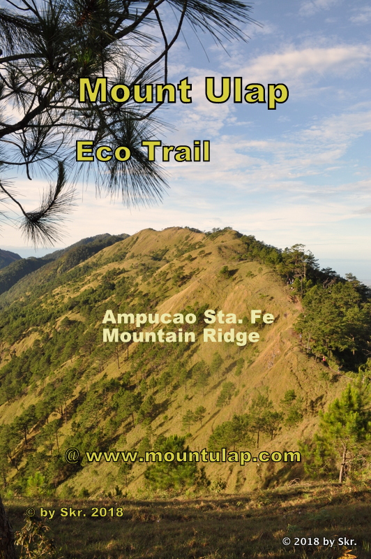 Mount Ulap Eco-Trail A shining 🌤 mountain path at twilight  