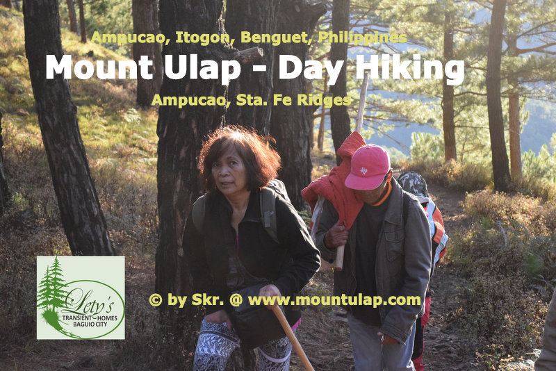 Mt. Ulap During a hot day, two Senior Citizens hiking through the Pinewood forest are on the way to Mount Ulap Summit 