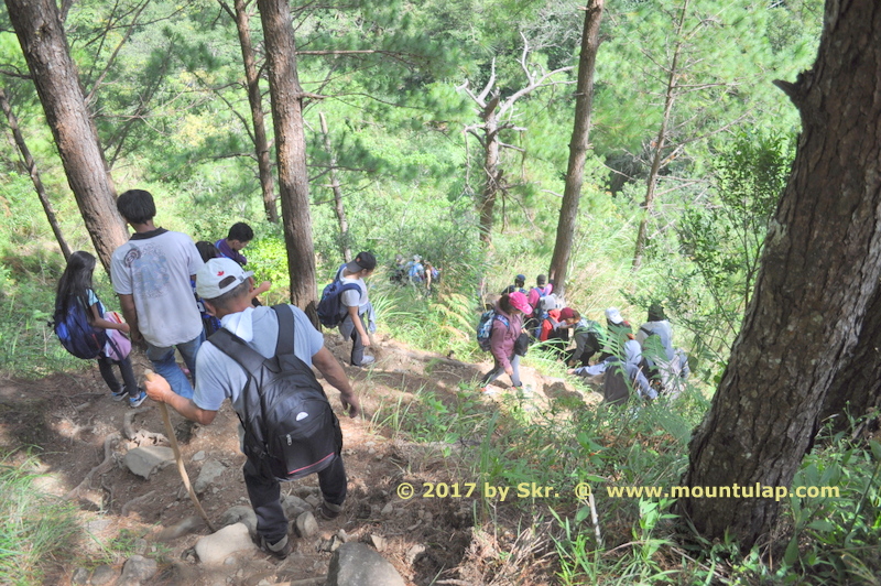 Mt. Ulap, During a hot day, a group of hikers descending through the Pinewood forest to the Sta. Fe exit point. 